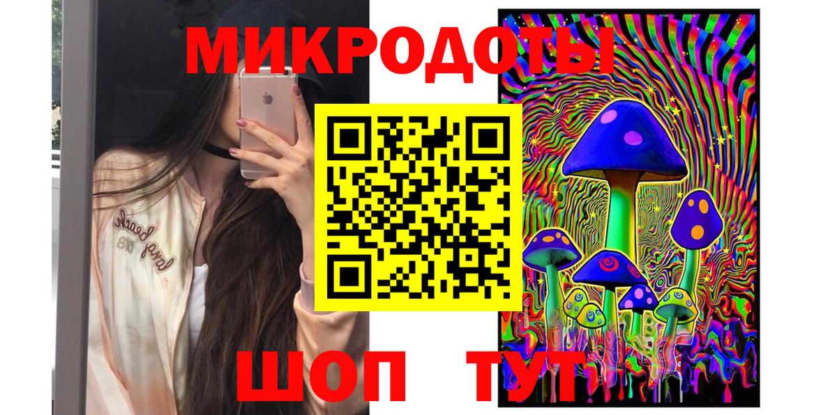 Псилоцибиновые грибы Psilocybine cubensis Лабинск